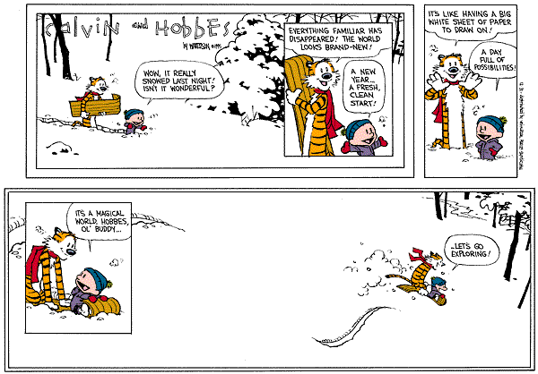 Click here for more Calvin and Hobbes toons.